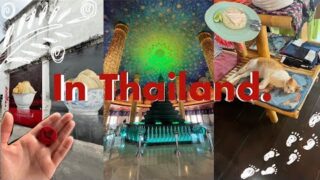 【VLOG】夏のタイでひとり旅🇹🇭/初の寝台列車/ときめくマーケット🌷